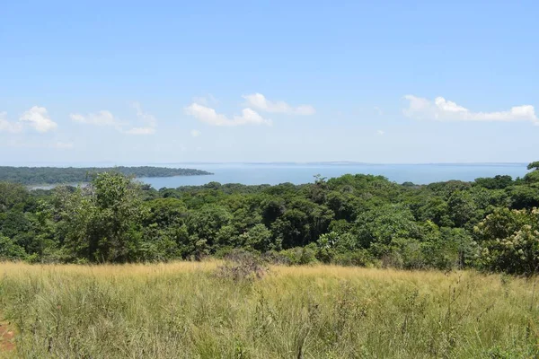 ウガンダのカランガラ島の風景と青い空の背景の草の木 — ストック写真