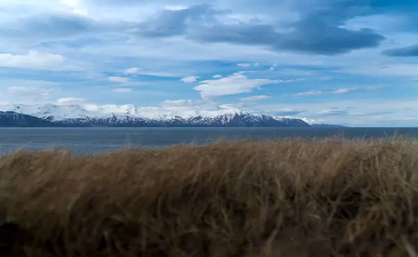 Selektiv Fokusbild Fjorden Island — Stockfoto