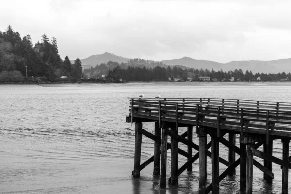 Grayscale Wooden Pier Siletz Bay Oregon Coast Usa Cloudy Day — Stock Photo, Image