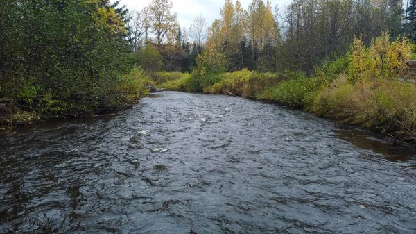 Creek Fall Colors Alaska — Stock Photo, Image