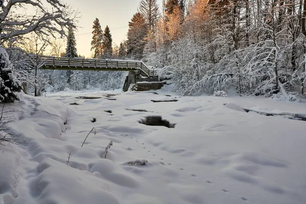 Pintoresco Plano Río Congelado Una Pasarela Bosque Durante Invierno —  Fotos de Stock