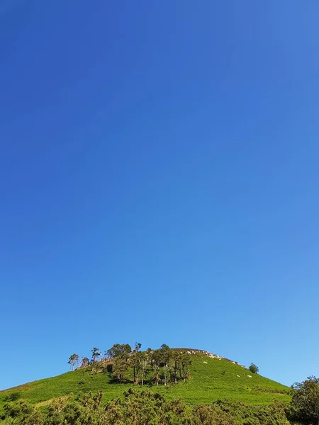 Coup Vertical Arbres Sur Une Colline Contre Ciel Bleu Par — Photo