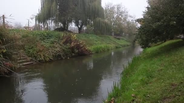 多云的日子里 一条长满绿草的河 — 图库视频影像