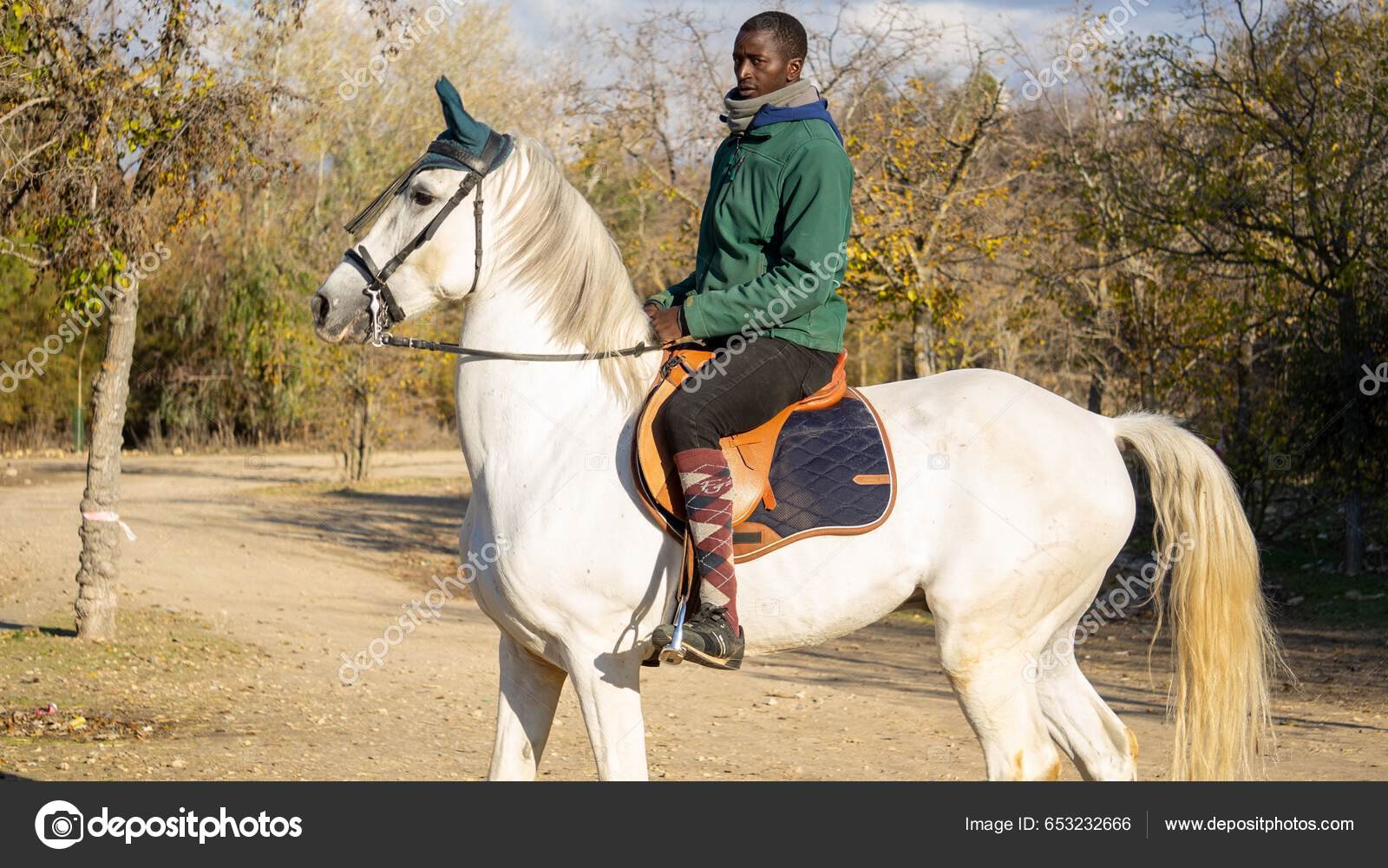 Male Jockey Male Jockey