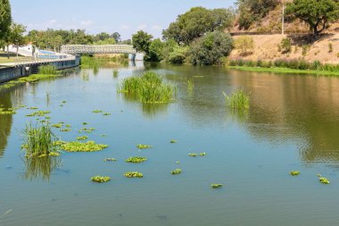 Portekiz 'in Montargil bölgesindeki Ponte de Sor şehrinin Riverside bölgesinde.