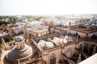 Sevilla 'nın binalarla çevrili şehir manzarası.