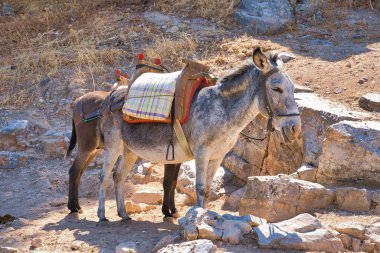 Yunan Rodos adası seyahat yerleri