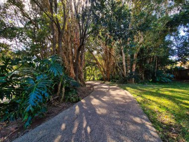 Port Macquarie, NSW, Avustralya 'da yeşilliği olan bir parkta patika.