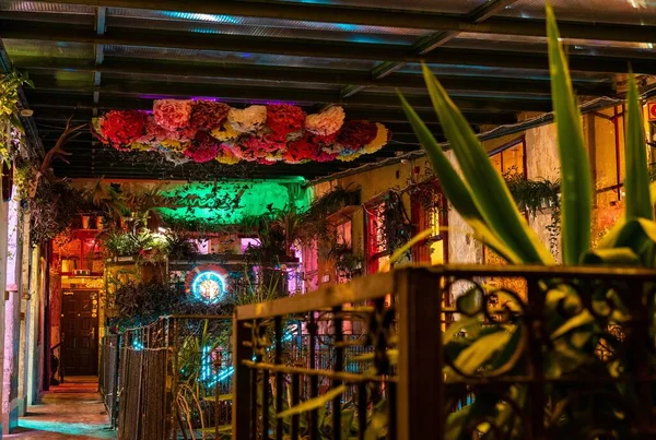 Interior Colorido Pub Com Flores Teto Plantas Verdes Decorando Paredes — Fotografia de Stock