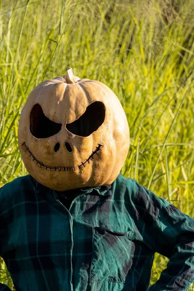 Woman Pumpkin Her Head Halloween Concept — Stock Photo, Image