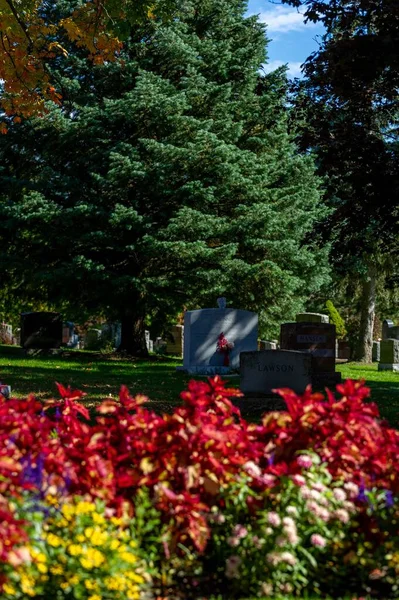 Кладбище Бичвуд Национальное Кладбище Канады Время Осеннего Сезона Цветов — стоковое фото