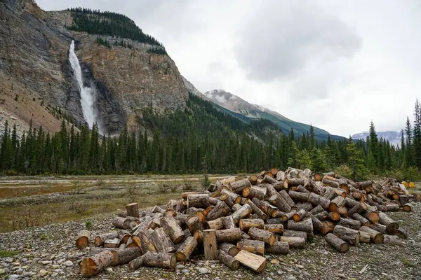 在加拿大不列颠哥伦比亚省的一个大瀑布前堆积起来的一堆碎木块的照片 — 图库照片