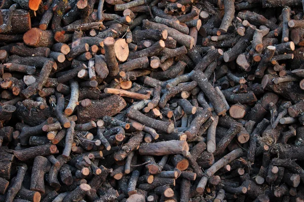 Ein Haufen Brennholz Ansicht Von Oben Natürlicher Brennstoff — Stockfoto