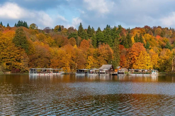 Uma Bela Paisagem Floresta Outono Margem Lago Com Barcos — Fotografia de Stock