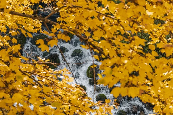 Autumn Landscape Water Flowing Rocky Surface Yellow Leaves — Stock Photo, Image