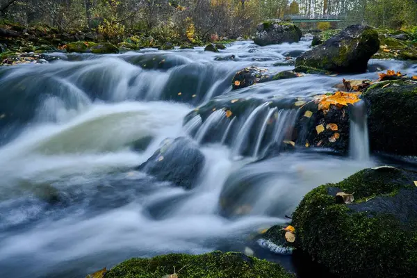 Río Que Corre Por Bosque — Foto de Stock