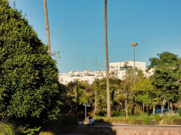 Stadsgebouwen Met Groene Bomen Eromheen — Stockfoto