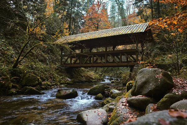 Uma Velha Ponte Madeira Sobre Riacho Outono — Fotografia de Stock