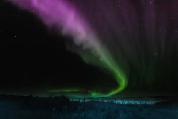Egy Gyönyörű Kép Északi Fényekről Erdő Felett — Stock Fotó