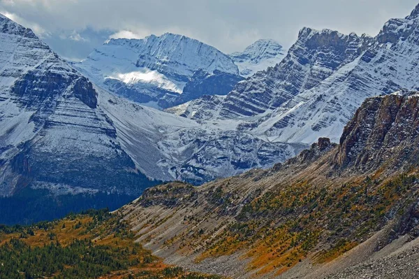 Priveliște Peisagistică Munților Acoperiți Complet Zăpadă Dezavantaj Pădure — Fotografie, imagine de stoc
