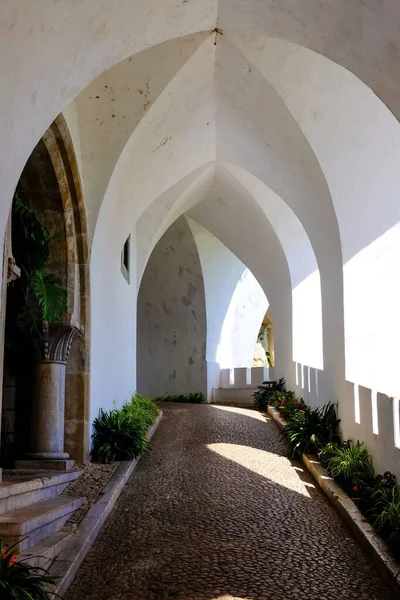 ポルトガルのペナ国立宮殿と公園内の垂直の狭い廊下 — ストック写真