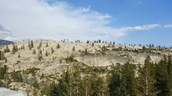 Uma Bela Vista Das Rochas Árvores Parque Nacional Yosemite — Fotografia de Stock