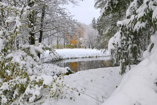Der Teich Winterpark Umgeben Von Schneebedeckten Bäumen — Stockfoto