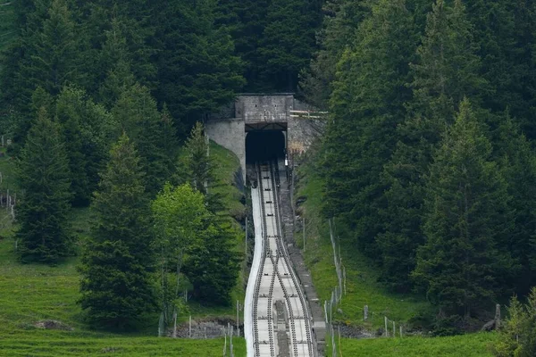 Uma Estrada Ferro Montanha Para Túnel Cercado Por Árvores Nas — Fotografia de Stock