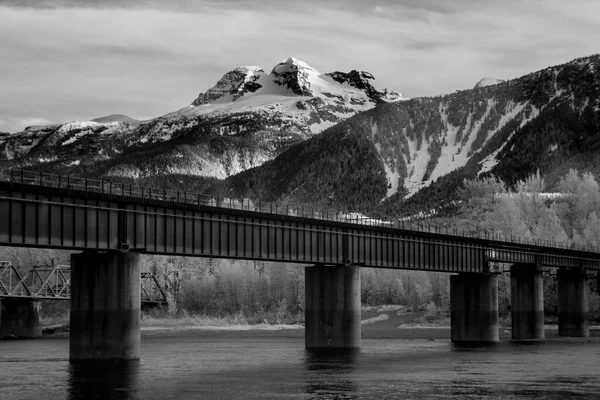 Una Toma Escala Grises Viejo Puente Ferroviario Las Montañas Revelstoke —  Fotos de Stock