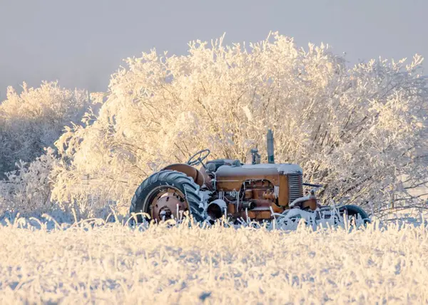 Foco Seletivo Velho Trator Enferrujado Campo Inverno Com Árvores Cobertas — Fotografia de Stock