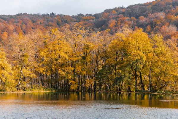 Ένα Όμορφο Τοπίο Του Φθινοπώρου Δάσους Στην Όχθη Μιας Λίμνης — Φωτογραφία Αρχείου