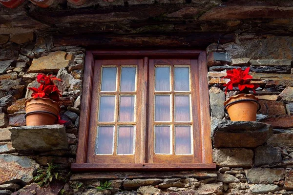 Fenêtre Noël Avec Usine Poinsettia — Photo