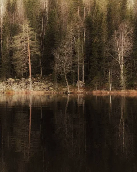 Вертикальный Снимок Озера Лесом — стоковое фото