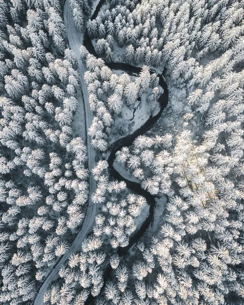 Μια Κάθετη Εναέρια Λήψη Χειμερινού Δάσους Και Μια Υδάτινη Ροή — Φωτογραφία Αρχείου