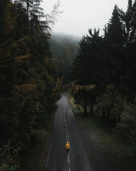 チェコ共和国ベスキディ山の松林の中を歩く黄色のコートの人の空中ビュー — ストック写真