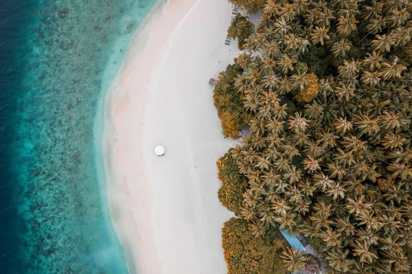 Paisagem Tropical Com Areia Branca Com Palmeiras Ilha Das Maldivas — Fotografia de Stock