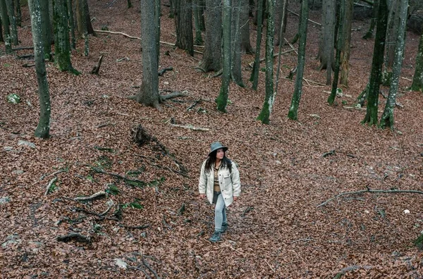 Přední Pohled Krásné Dívky Turistika Lese Podzim — Stock fotografie