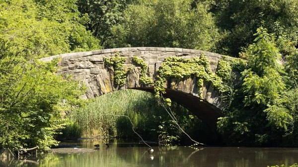 Uma Ponte Pedra Através Rio Tranquilo Cercado Por Árvores Vegetação — Fotografia de Stock