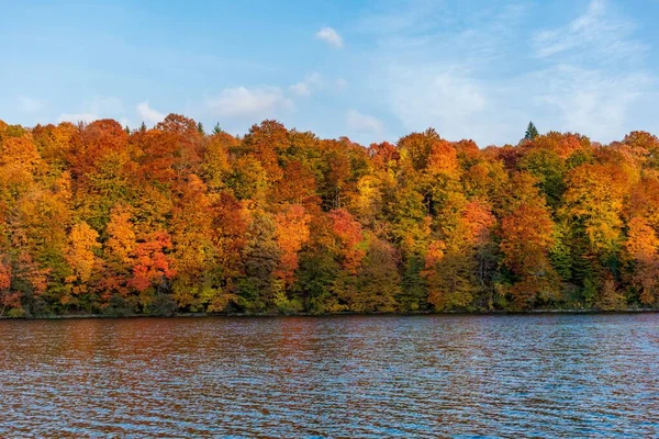 湖畔秋天森林的美丽景色 — 图库照片