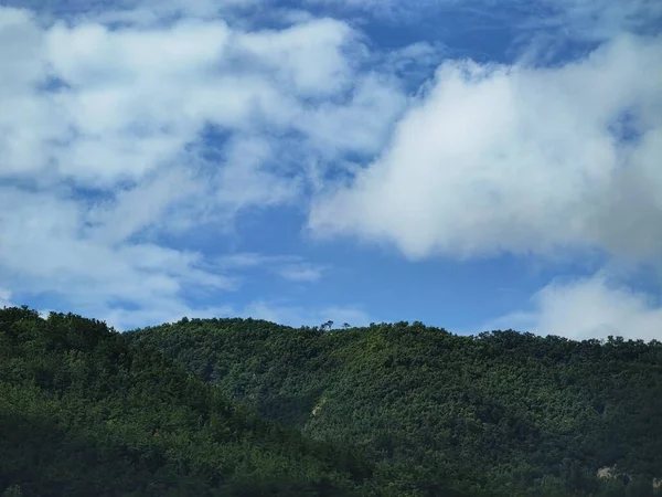 Velké Kopce Pokryté Hustými Lesy Proti Modré Obloze Během Dne — Stock fotografie