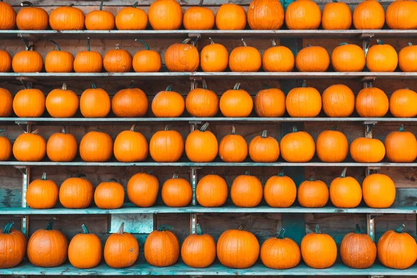 Egy Közeli Kép Narancs Sütőtökről Amit Eladnak Piacon — Stock Fotó