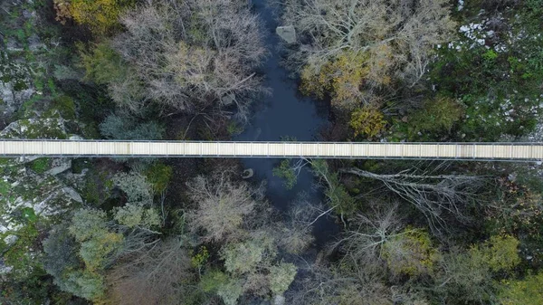 Une Vue Dessus Pont Bois Sur Rivière Des Arbres Colorés — Photo