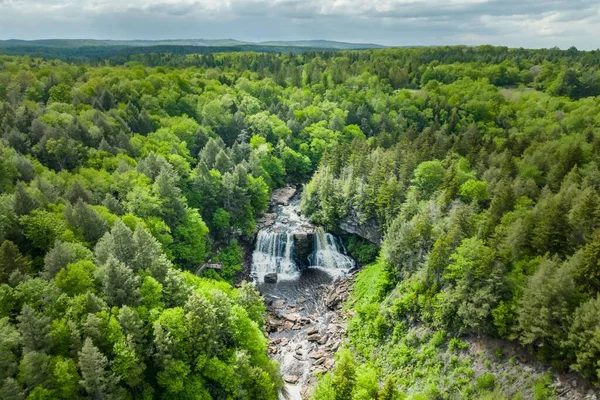 Tiro Aéreo Cachoeira Blackwater Falls Nas Montanhas Allegheny Cercada Por — Fotografia de Stock