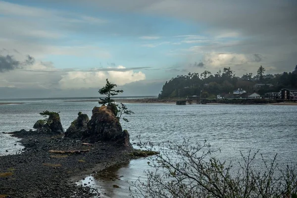 Scenic View Green Trees Siletz Bay Oregon Coast Usa Cloudy — Stock Photo, Image