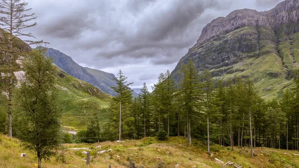 Die Schöne Aussicht Auf Glen Coe Mit Üppigen Lärchen Und — Stockfoto