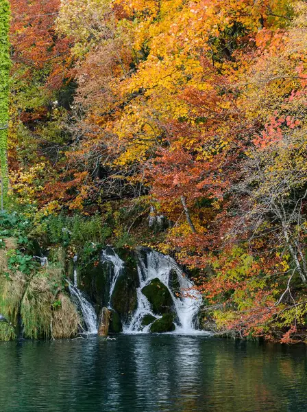 Eine Wunderschöne Landschaft Des Herbstwaldes Mit Einem Fließenden Wasserfall Ufer — Stockfoto