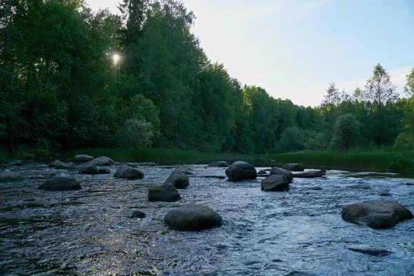 Rápido Rio Montanha Com Uma Poderosa Corrente Água Floresta — Fotografia de Stock
