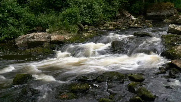 Nahaufnahme Eines Fließenden Flusses Einem Wald — Stockfoto