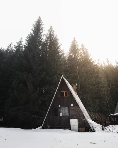 Pionowy Drewniany Domek Pokryty Śniegiem Sosnowym Lesie Beskidach Czechy — Zdjęcie stockowe