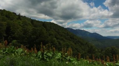 Romanya 'daki Ciucas dağlarının manzaralı bir manzarası, baharda yeşil ormanlar ve tepeler